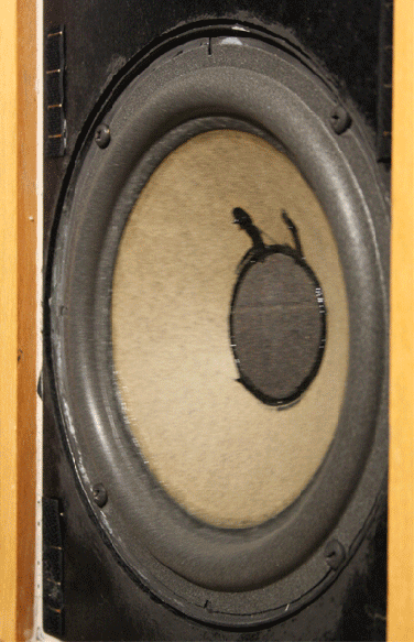 Freshly refoamed Acoustic Research AR-7 woofer doing its thing.